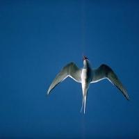 B img0058
