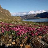 S img0026