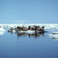 Sm img0007