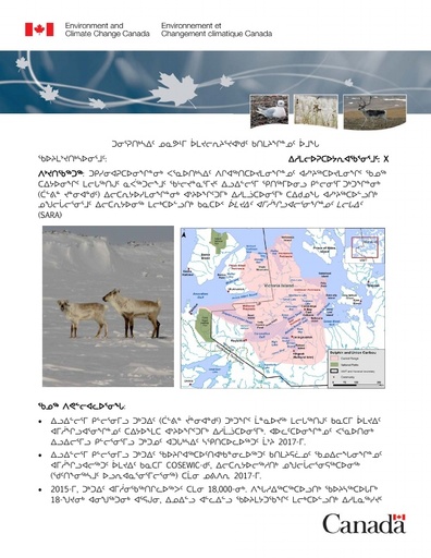 TAB 8A ECCC Briefing Note Dolphin and Union Caribou Consultations INUK