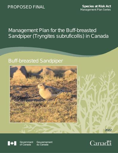TAB3B ECCC Report Buff breasted Sandpiper Management Plan Proposal ENG only