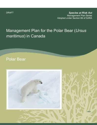 TAB4C ECCC Management Plan Federal Addition to the National Polar Bear Management Plan ENG