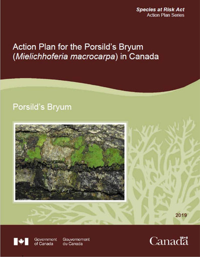 TAB_13C ECCC action plan Action Plan for the Porsild's Bryum ENG ONLY