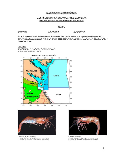 2022 Joint Hearing Shrimp TAC DFO Submission Addendum INUK