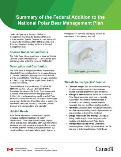 TAB4D ECCC Management Plan Polar Bear Management Plan Summary ENG
