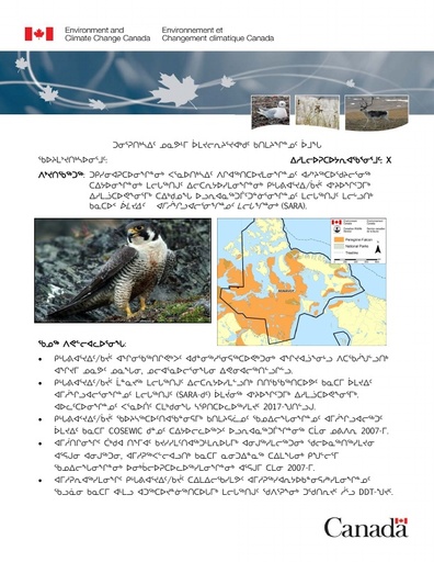 TAB 9A ECCC Briefing Note Peregrine Falcon Consultations INUK