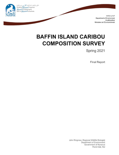 TAB8D GN Report 2021 BIC Composition Survey Report ENG