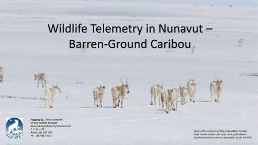 TAB2C_GN Presentation_Caribou Research Telemetry ONLY_ENG