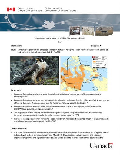 TAB 9A ECCC Briefing Note Peregrine Falcon Consultations ENG