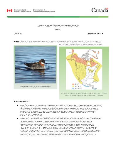 TAB2A ECCC BN Red Necked Phalarope Management Plan INUK