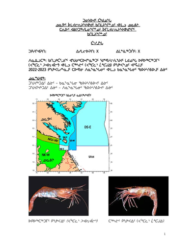 2022 Joint Hearing Shrimp TAC DFO Submission INUK