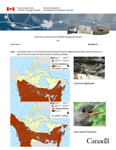 TAB 7A ECCC Briefing Note Nighthawk and Olive sided Flycatcher Consultations ENG