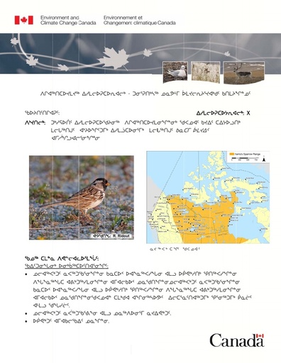 TAB 6A ECCC BN listing of Harris’s Sparrow INUK